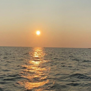 63cvcc的图片和视频内容
