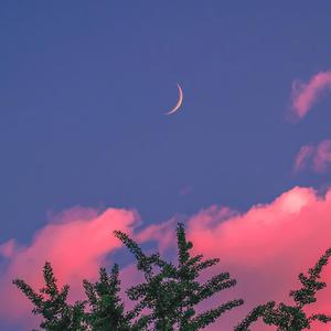 63cvcc的图片和视频内容
